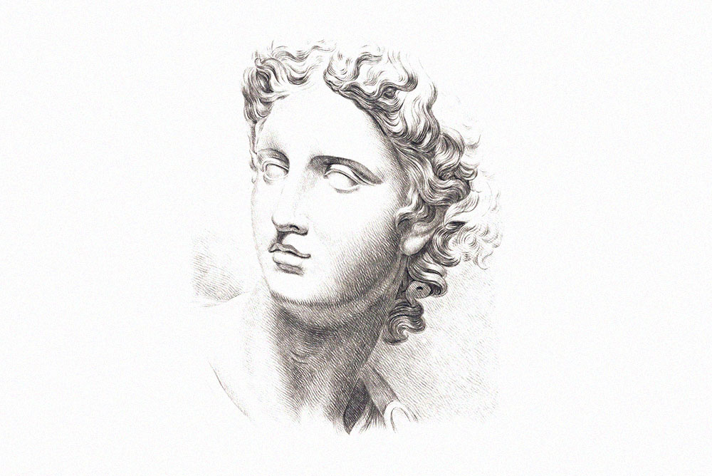Ilustración clásica en blanco y negro de un busto de inspiración grecorromana con cabello rizado.